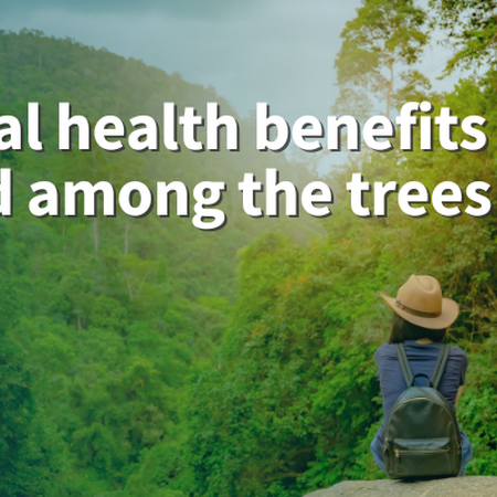 Mental health benefits found among the trees woman with hat sitting on rock outcrop looking over 