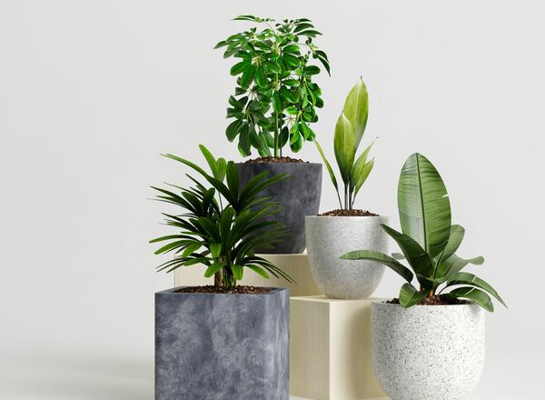 4 potted plant containers